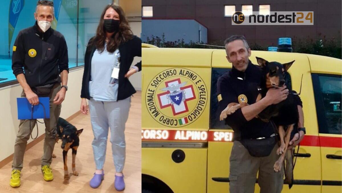 Jack è tornato a casa; individuati altri bocconi avvelenati - 