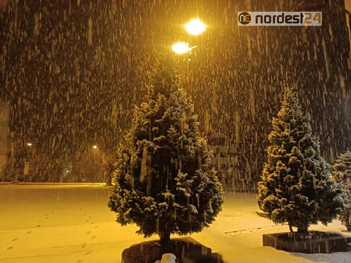 Prima neve su Dolomiti a Nordest: fiocchi a Sappada, Misurina, Falcade e Arabba - 