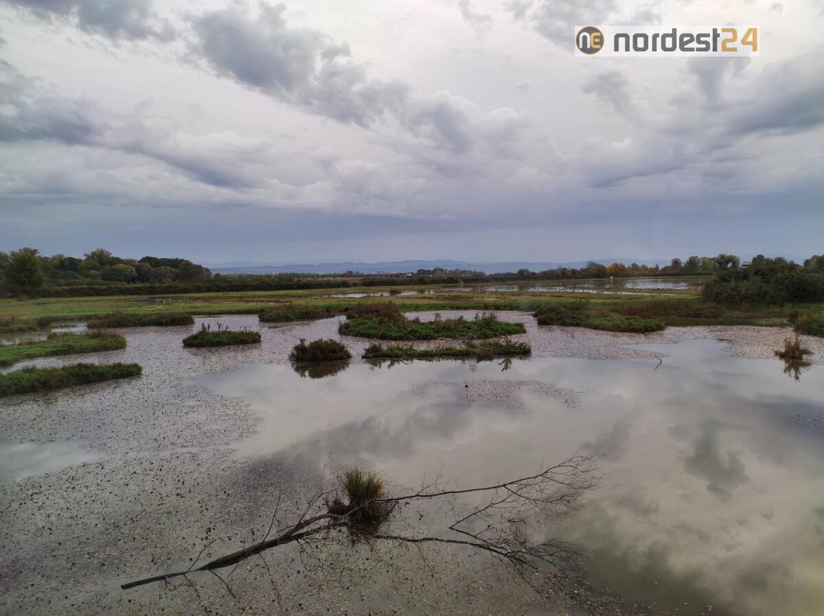 Al via le visite didattiche alla Riserva “Foce dell’Isonzo” con il Progetto Grevislin - 