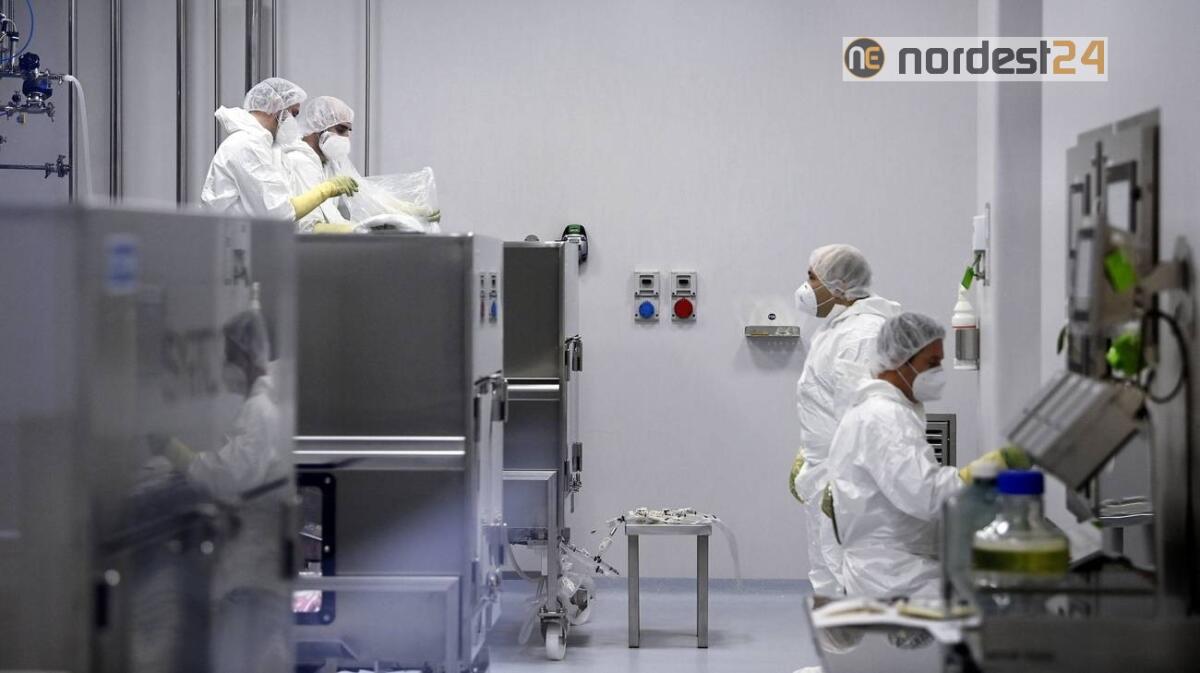 Covid, Ulss Venezia: monoclonali a 200 malati, solo 4 ricoveri - 