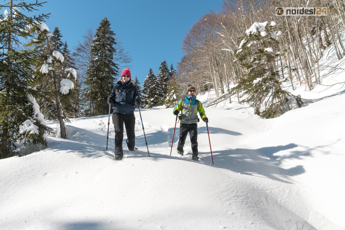 Arta Terme: dal 26 dicembre una vacanza "Sole&Neve" oltre lo sci - 