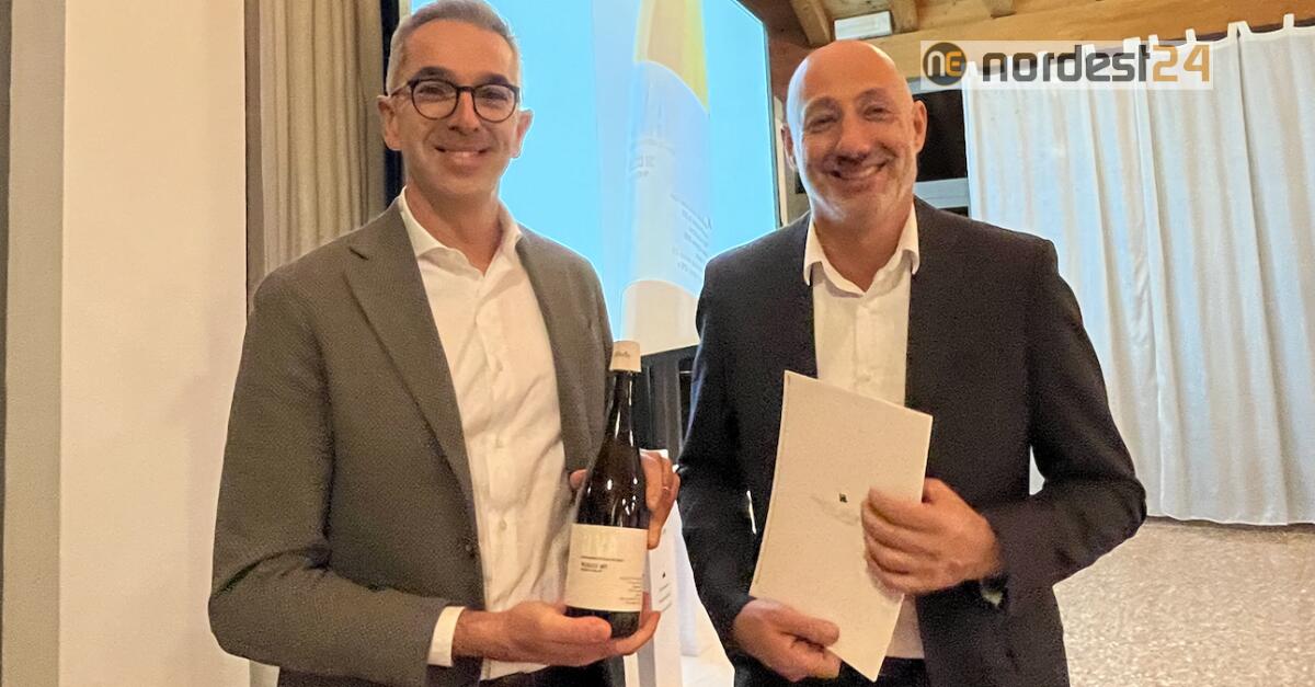 Nasce in Fvg il primo Prosecco Doc sostenibile - 