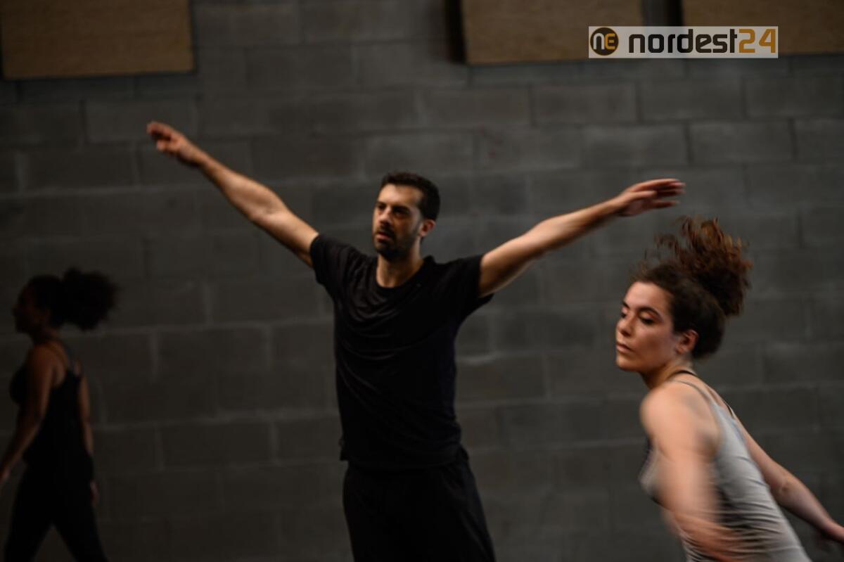 Il Leone d’Argento alla Biennale Teatro 2020, a Udine per una masterclass con Arearea - 