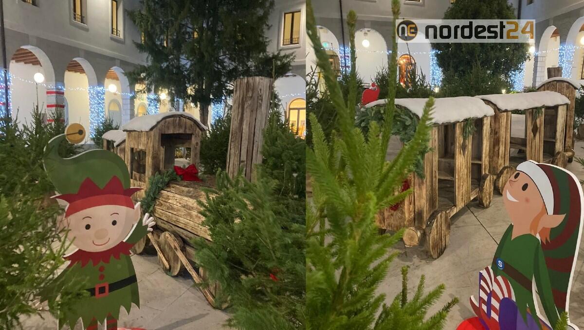 Il Bosco degli Elfi, a Natale la Biblioteca di Pordenone diventa regno dei bambini - 