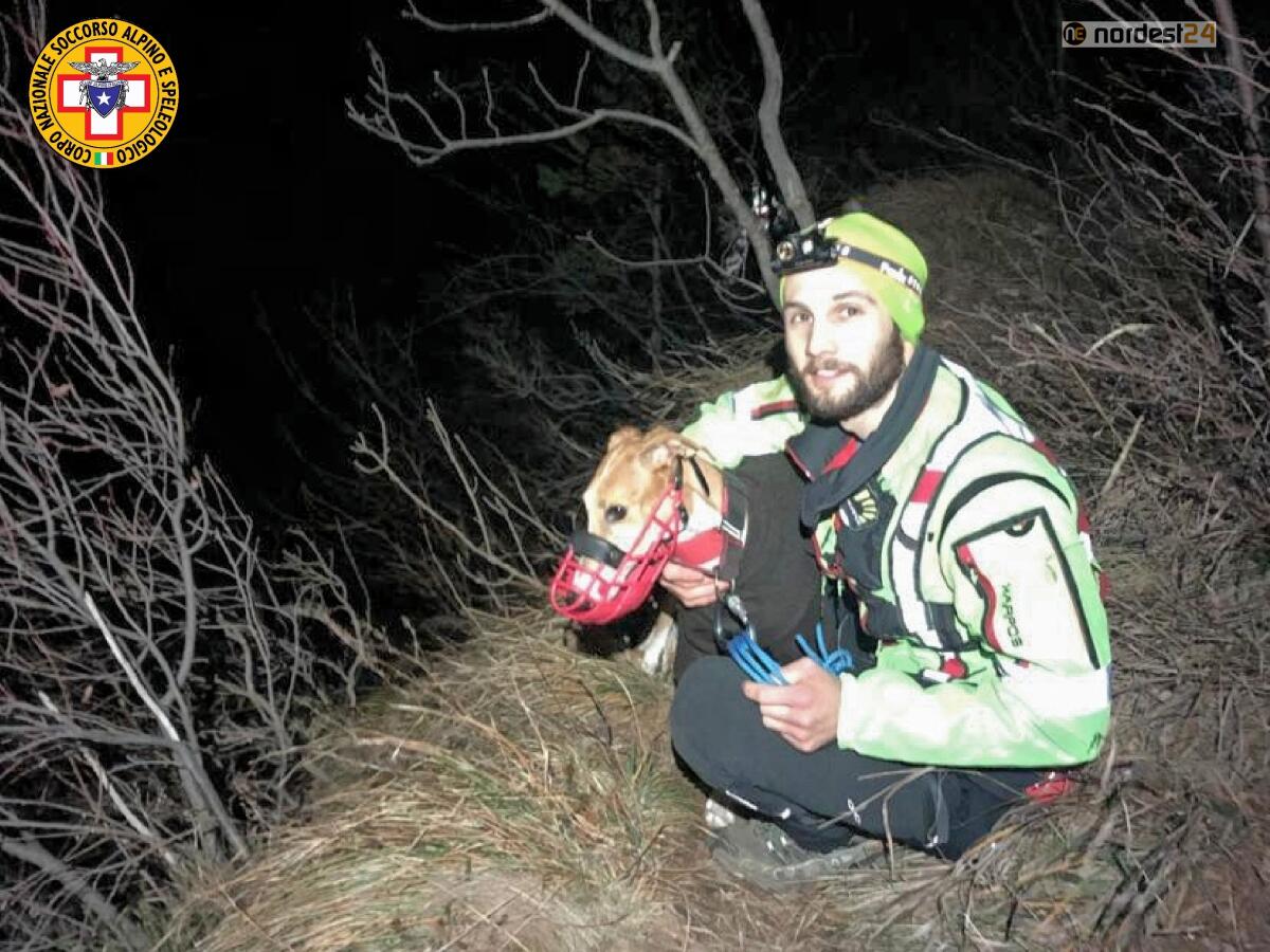 Scappa durante la passeggiata: cane recuperato dal Soccorso Alpino - 