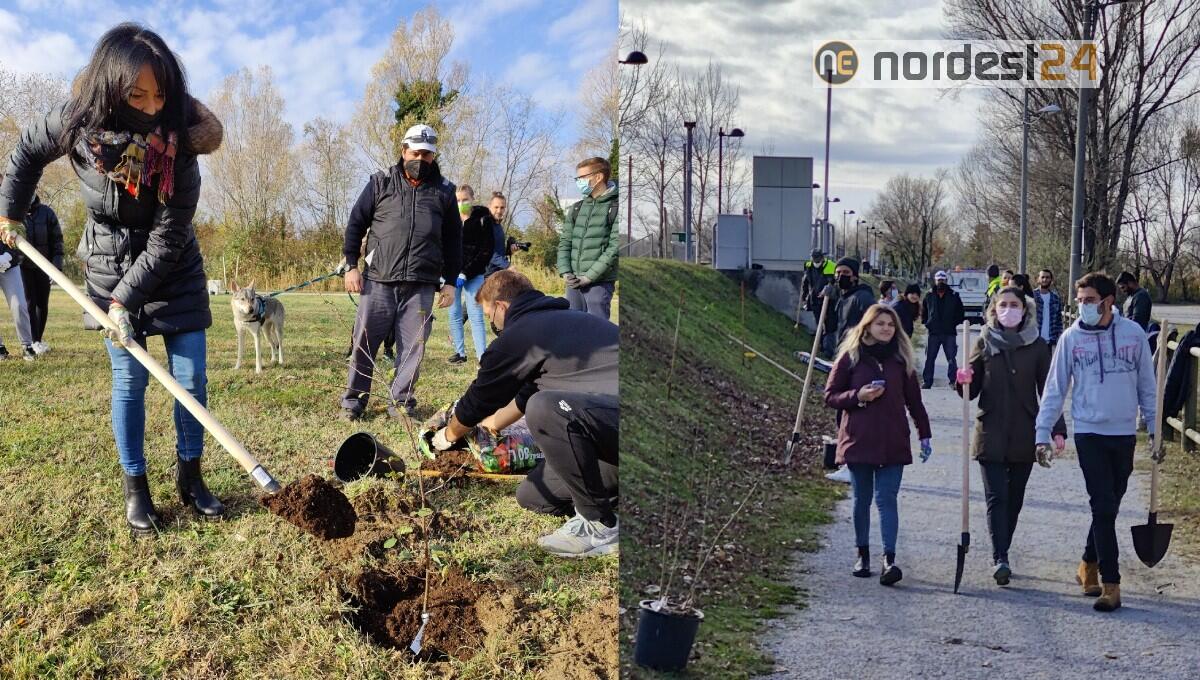 A Monfalcone oggi la piantumazione di 80 nuovi alberi nei parchi - 