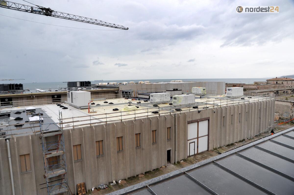 Dramma in Porto Vecchio a Trieste: travolto da una gru muore operaio 58enne - 