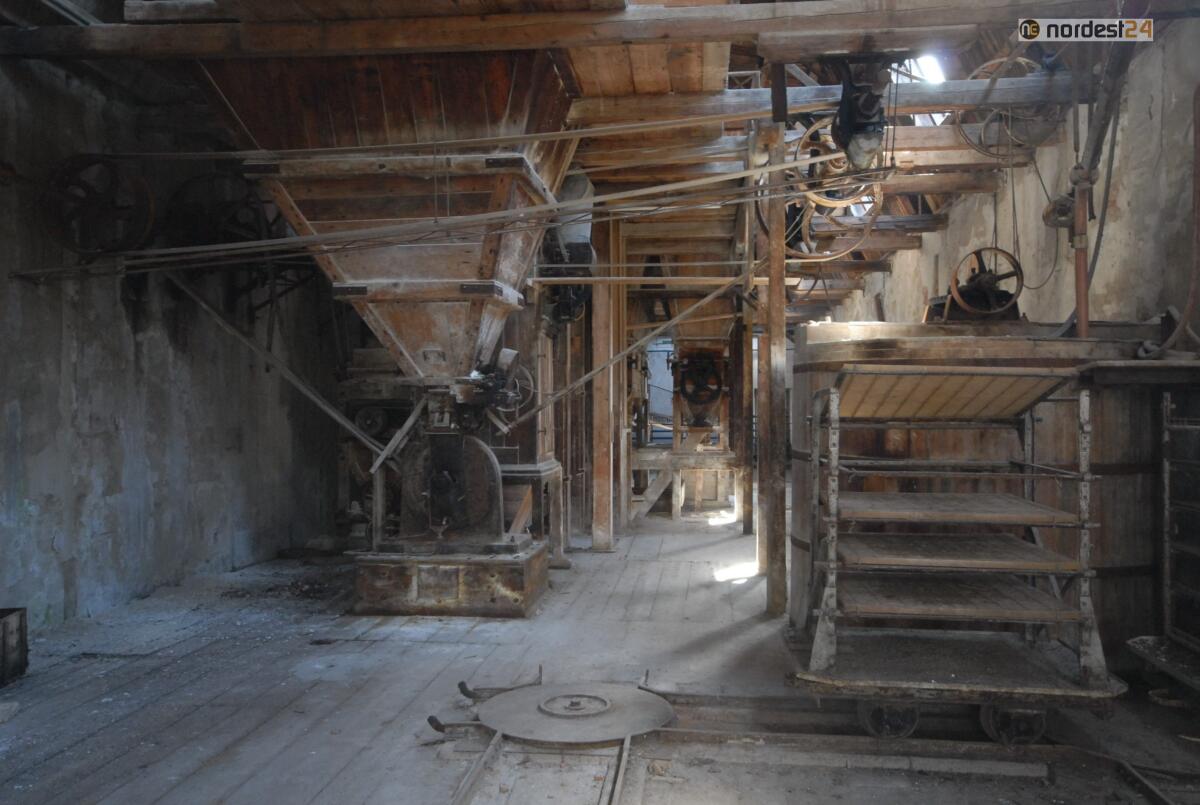 L’ex Amideria Chiozza di Ruda apre le porte agli Instagramers del Fvg - 