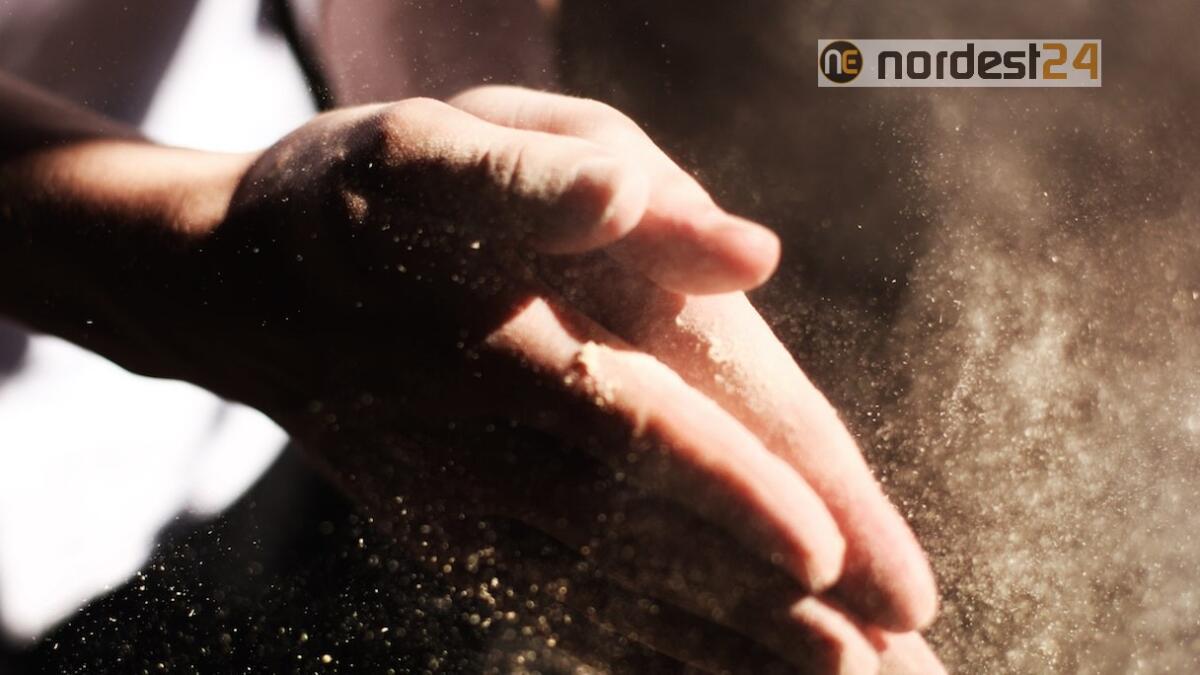 In Fvg cresce caporalato ed il lavoro nero, lo segnala la CGIA - 