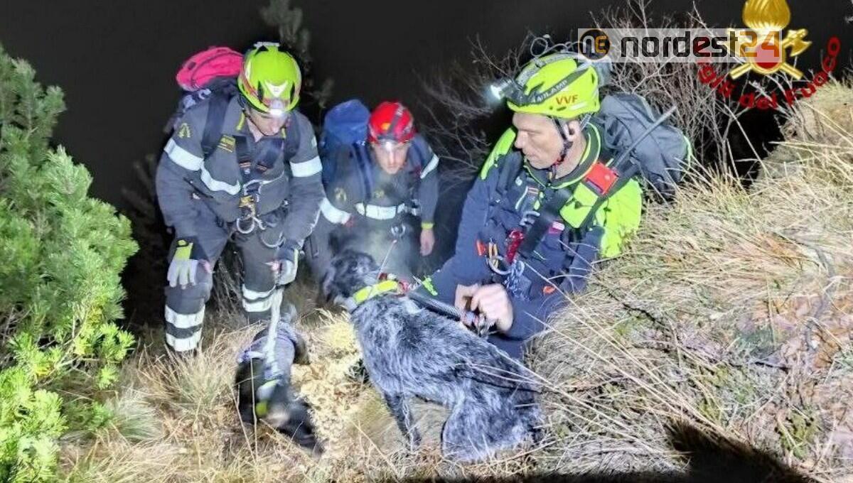 Finiscono bloccati in un canalone: salvati 2 cani da caccia - 