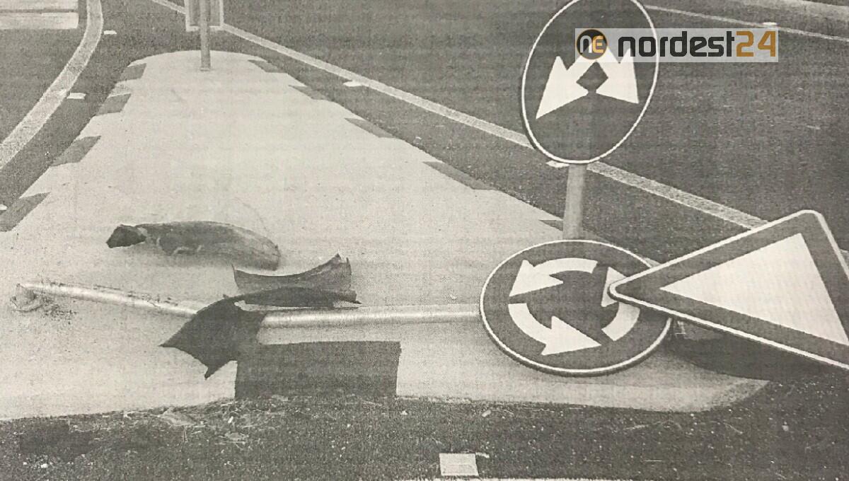 Danneggiano cartelli e veicoli, poi fuggono: inchiodati dalle telecamere - 