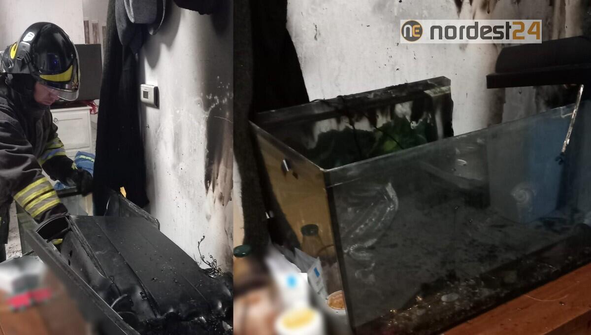 Incendio dal mobile dell'acquario: intossicati 2 bimbi e una donna - 