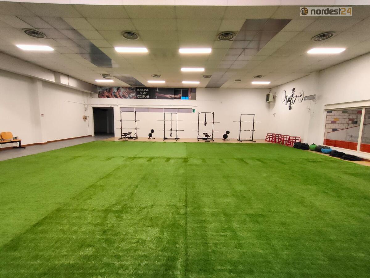 Un manto erboso sintetico in palestra? Ecco la novità proposta dall'Elite Sport Academy - 