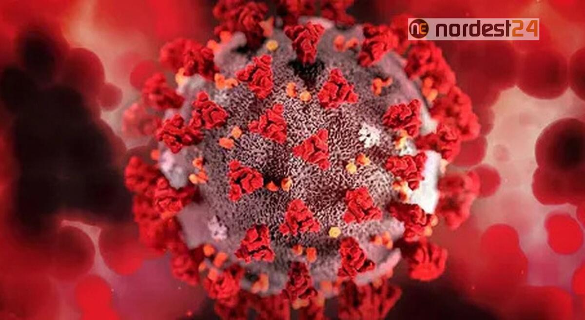 Covid, esperti: "Deltacron probabile frutto errore laboratorio" - 