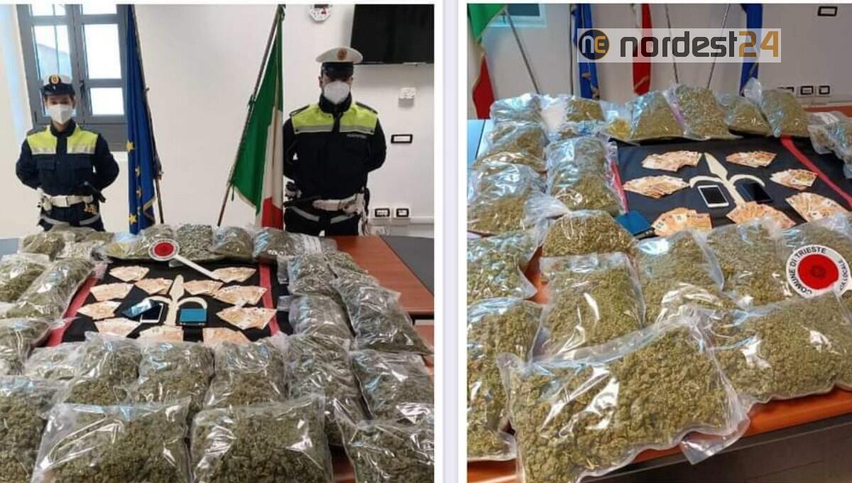 Sequestrati 20 kg di sostanza stupefacente destinati alla piazza triestina - 