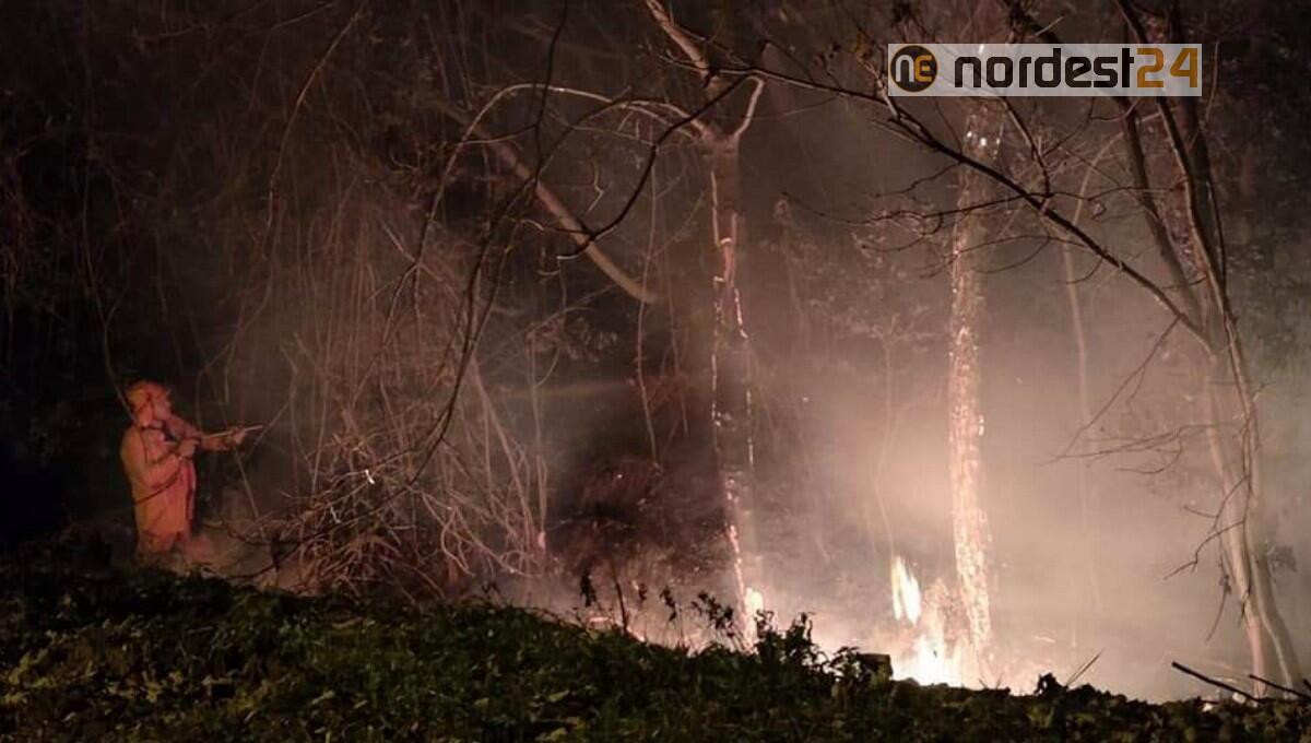 Ragogna. Incendio minaccia il versante del monte: fiamme domate per tempo - 