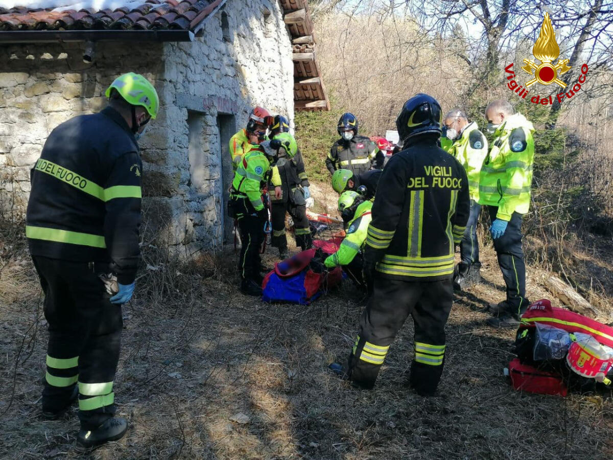 Travolto da una pianta durante i lavori: ferito - 