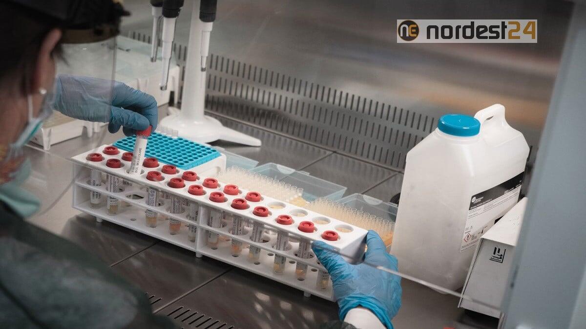 Covid, Ecdc: numeri Omicron tripli rispetto a picco massimo raggiunto finora - 