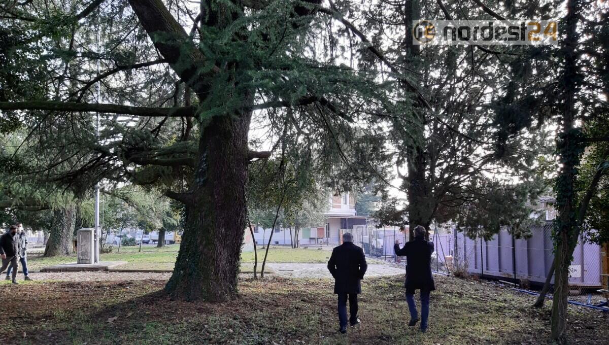 La ditta: "Rimuovere il cipresso per collocare la gru". Il no dal sindaco - 