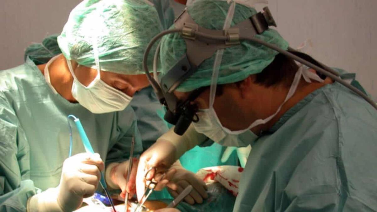 Malore a scuola, muore a 12 anni: cuore e rene a due bimbi veneti - 