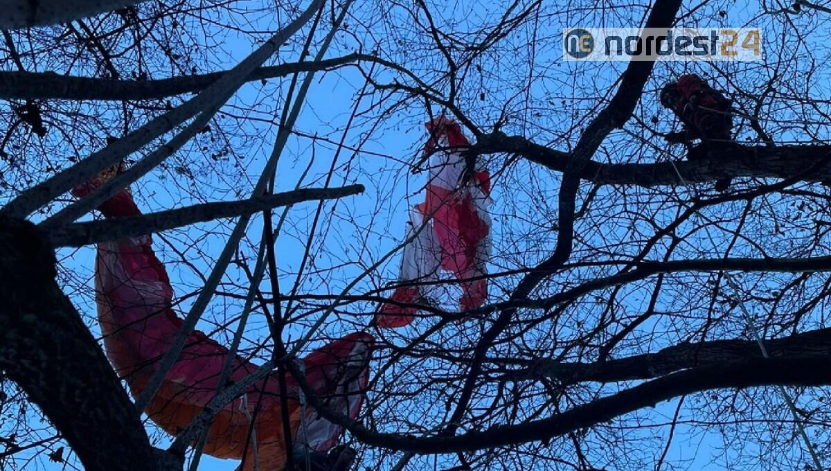 Precipita con il parapendio e resta sospeso su piante secche - 