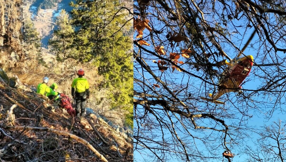 Tragedia nei boschi del Tesino, muore 63enne travolto da una pianta - 