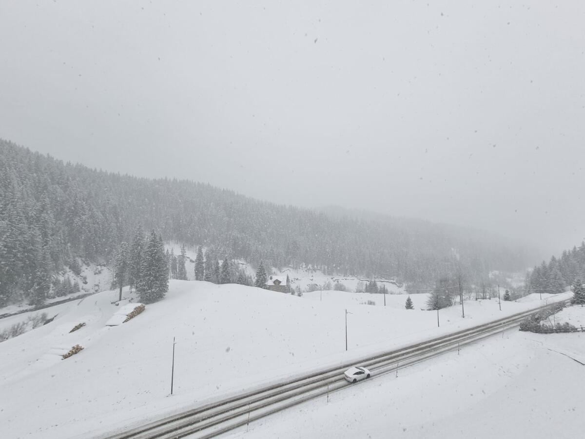 Neve sui monti a Nordest: torna il candido manto bianco - 