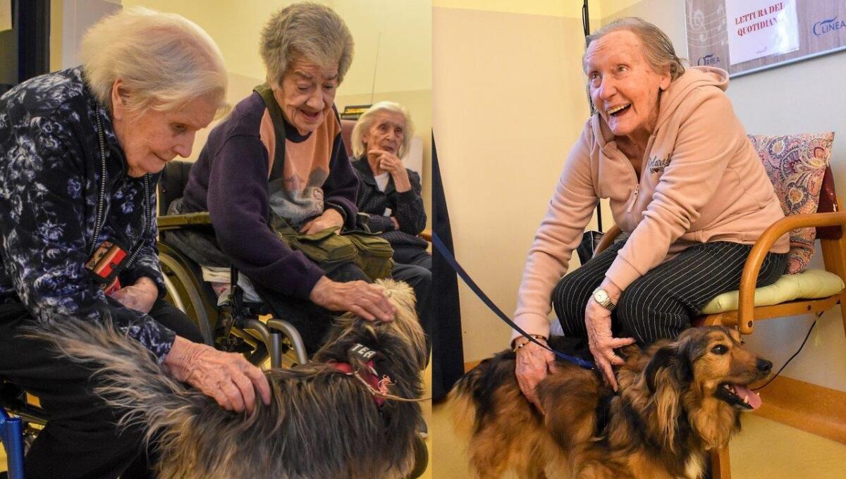 Pet Therapy in RSA a Trieste grazie a Tea e Rexi - 