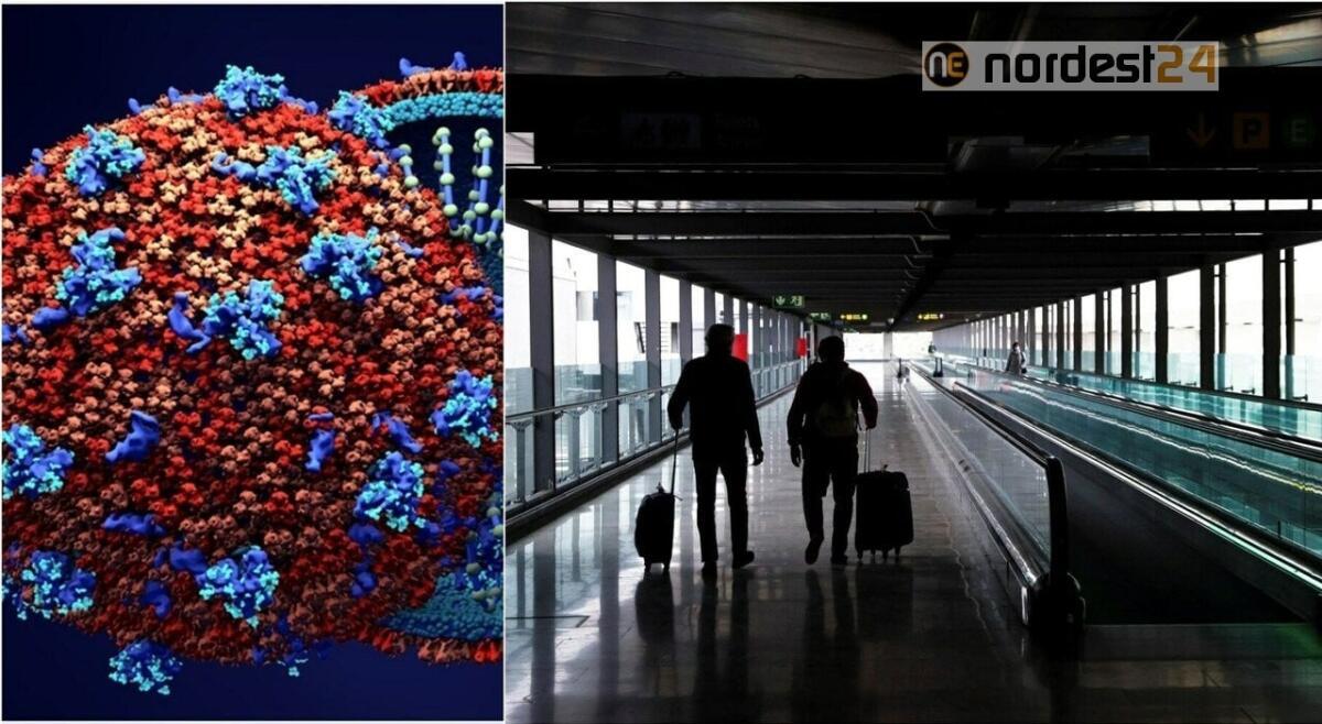 Covid, Broccolo: virus è cambiato e si va verso endemia - 