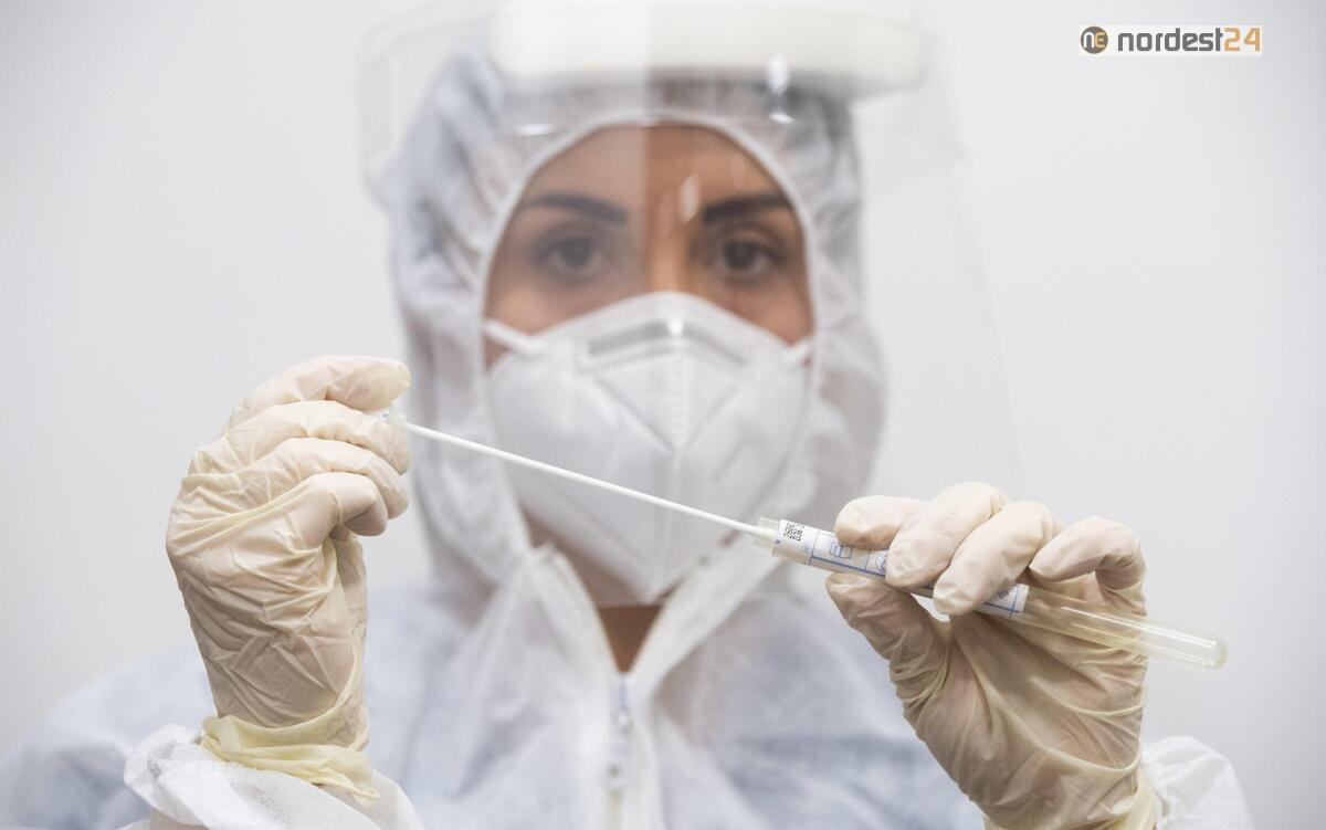 Covid, bollettino: 10.484 nuovi casi in Veneto, calo vistoso dei ricoveri - 