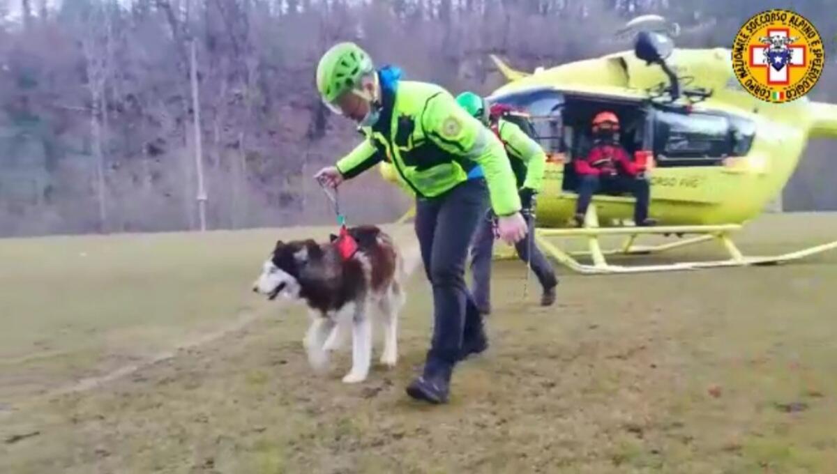 Scivola con il cane Husky su un tratto ghiacciato a Poffabro: soccorsi - 
