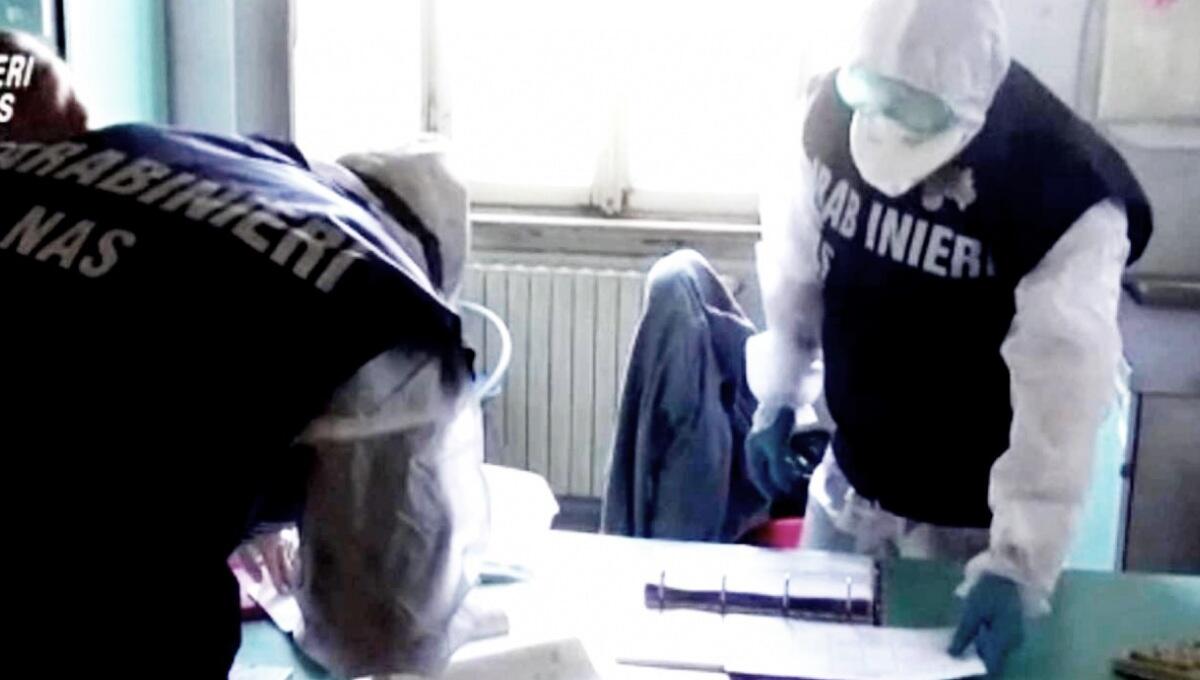 San Daniele del Friuli, disinfestante su migliaia di prosciutti: bloccata un'azienda - 