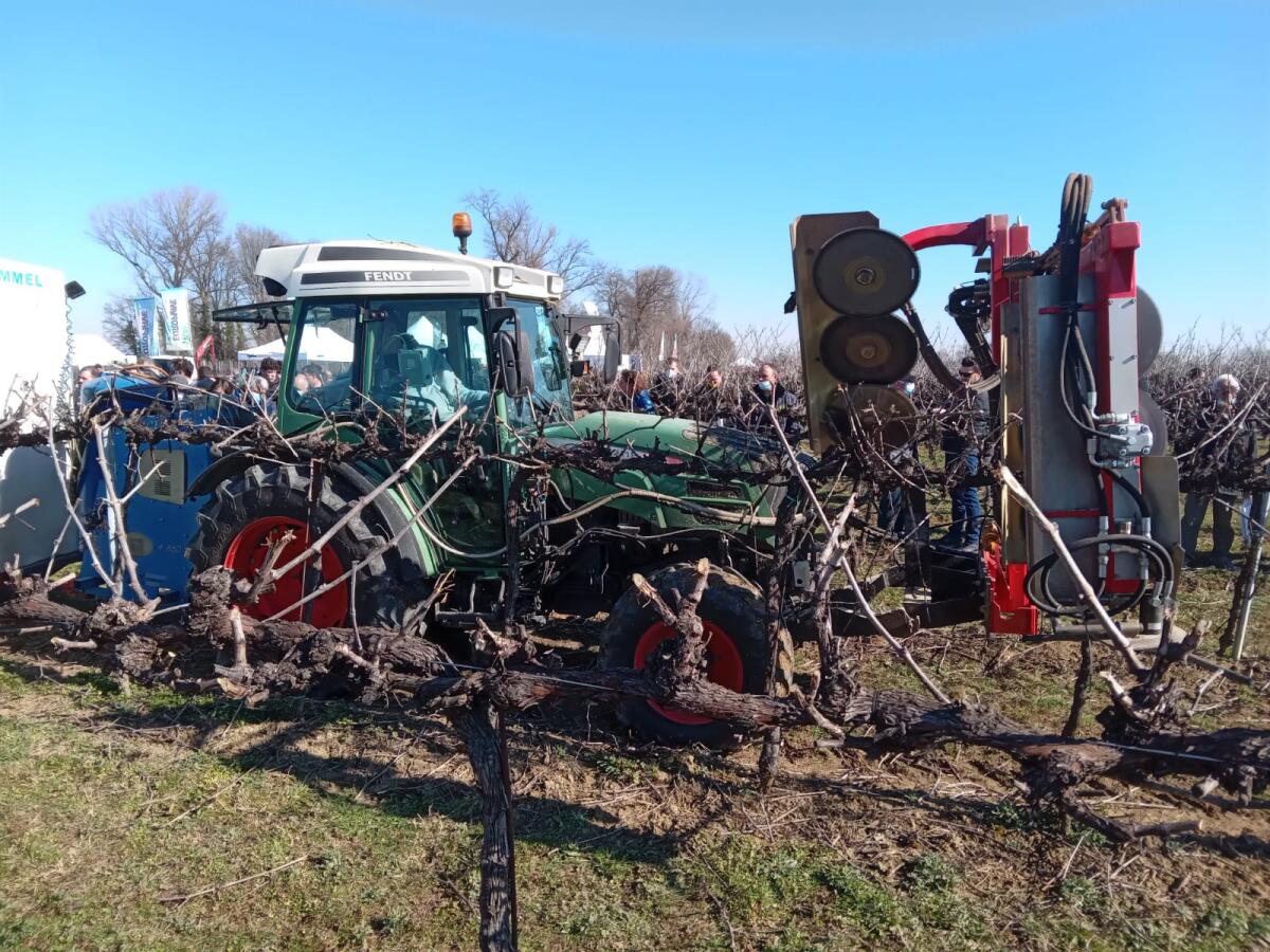 Vite in campo a Loncon: successo per la Fiera in Movimento seconda edizione invernale - 