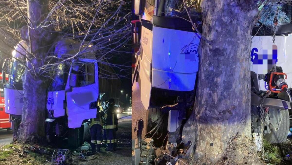 Perde il controllo del camion e si schianta contro un albero: ferito - 