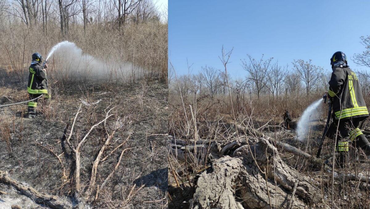 Incendio di sterpaglie a Biauzzo di Codroipo nella zona golenale del Tagliamento - 