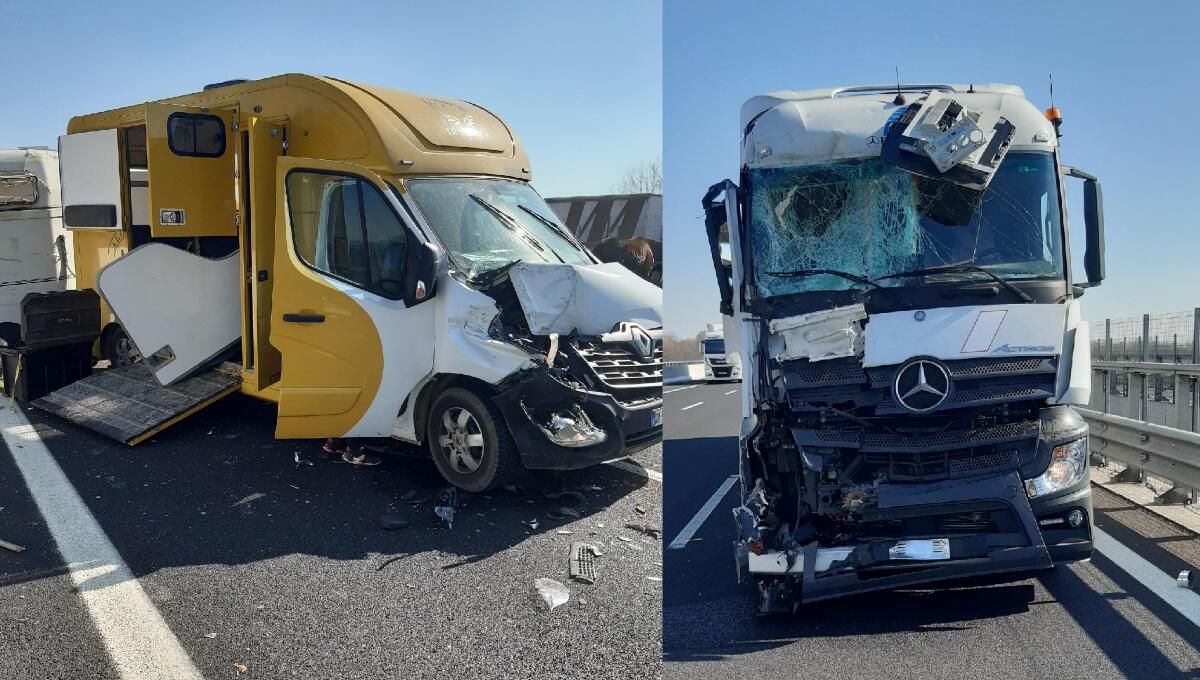 Incidente in A4 tra Latisana e Portogruaro: morti 2 cavalli - 