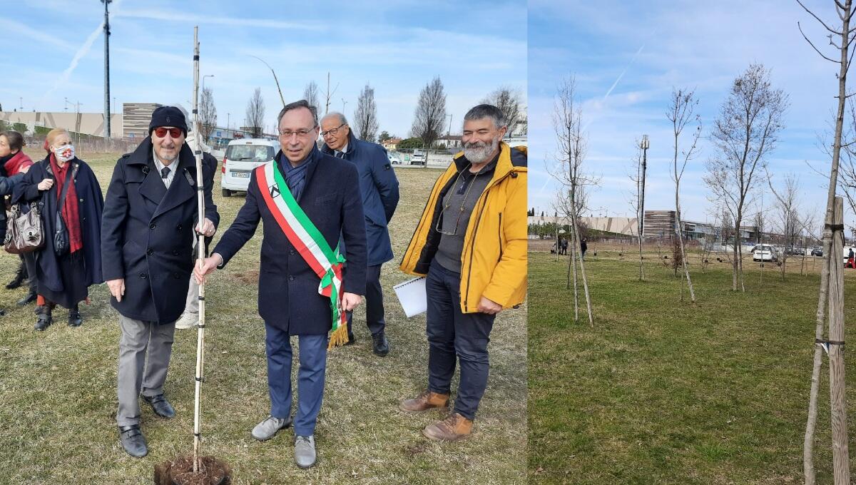 Cresce il bosco urbano tra il parco Moretti e il Cormor: piantati 35 alberi - 