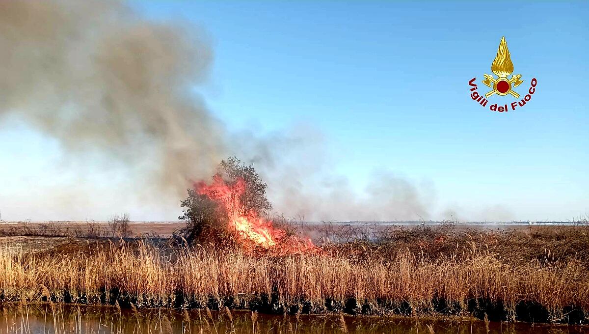 Vasto incendio di sterpaglie poco distante dall’aeroporto Marco Polo - 