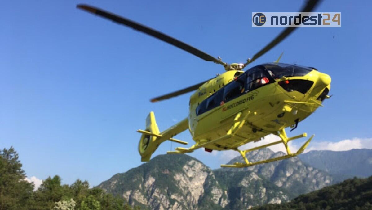 Colpito in testa da un ramo: 28enne soccorso a Torreano di Cividale - 