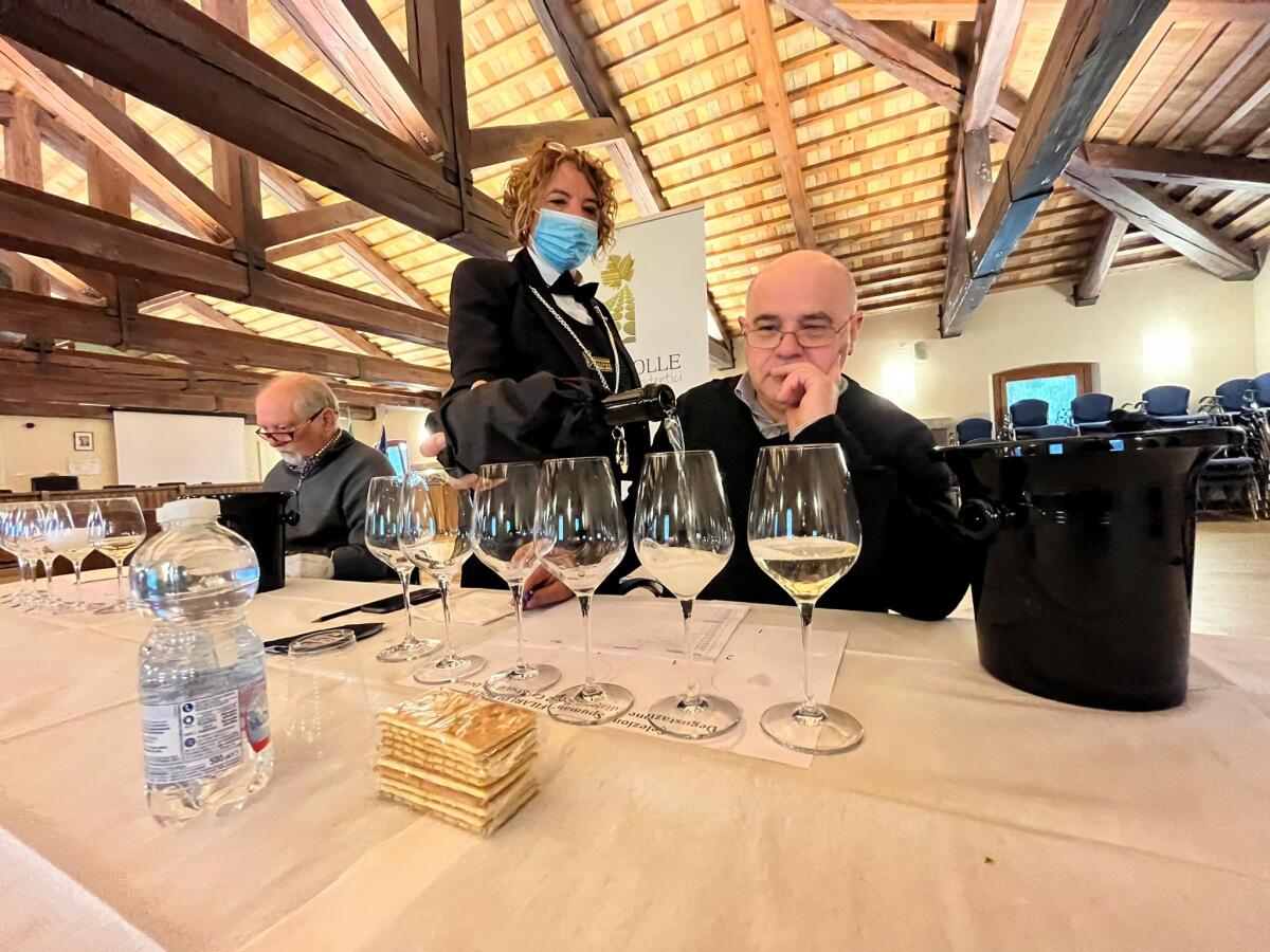 Filari di Bolle: a Casarsa iniziata selezione spumanti Fvg della Sagra vino - 