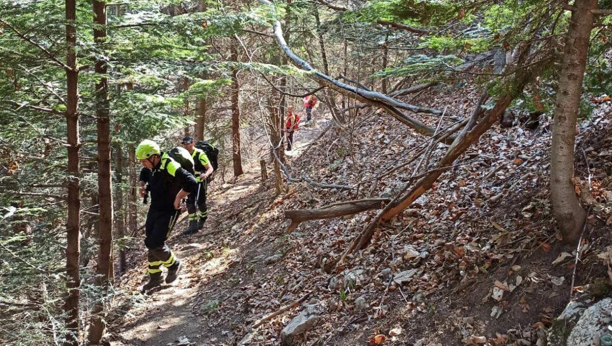 Giancarlo Rizzi scomparso a Taipana, ancora nessuna traccia: riprese le ricerche questa mattina - 