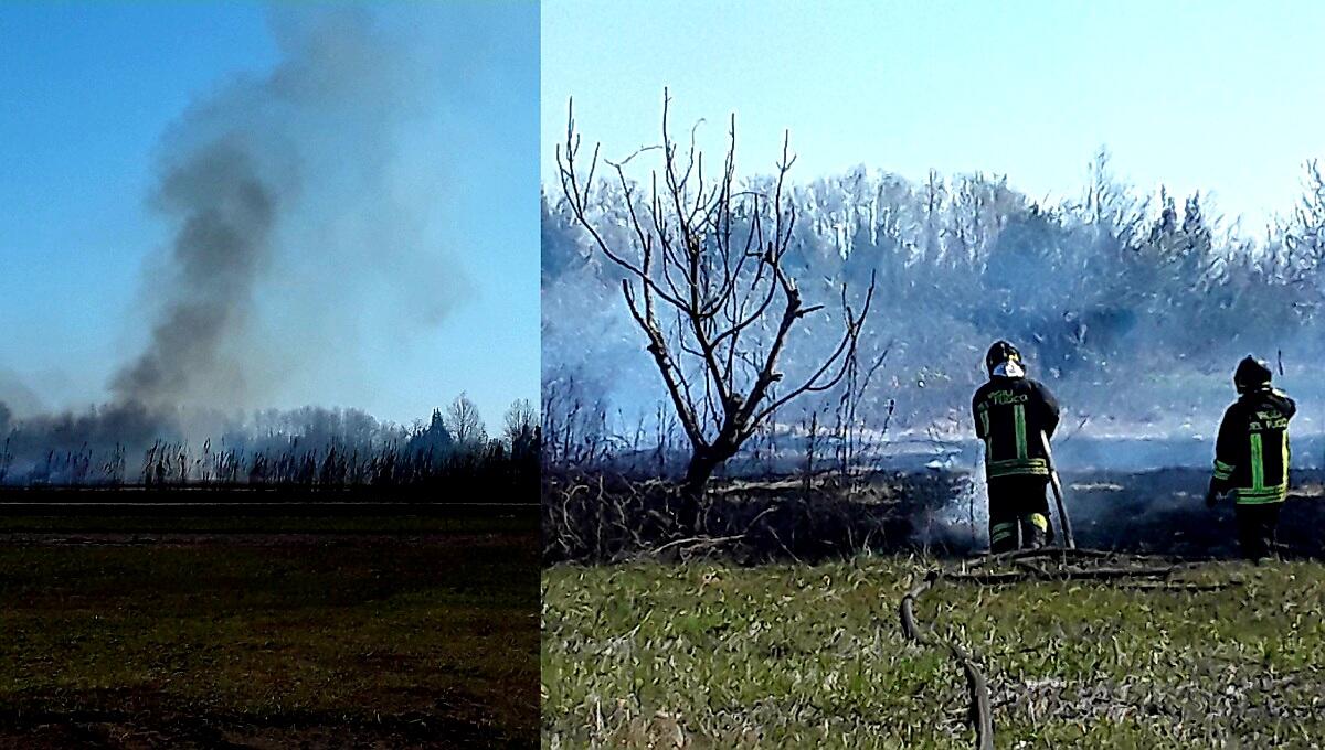 Incendio di sterpaglie all’isola di Sant’Erasmo a Venezia - 