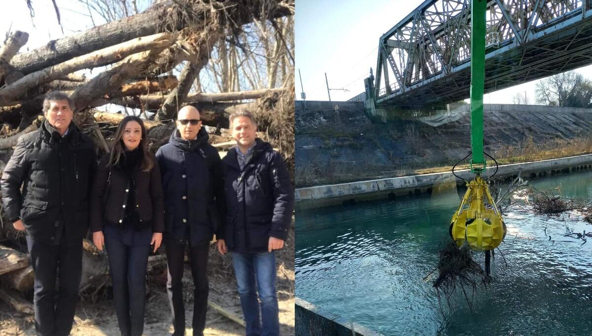 A Latisana via i quintali di tronchi nel Tagliamento, il comune: "massimo impegno per la sicurezza" - 