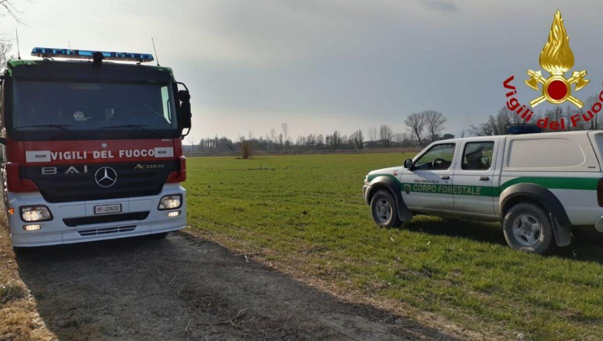 Incendio di una boscaglia a Cordenons, brucia una vasta superficie vicino al Meduna - 