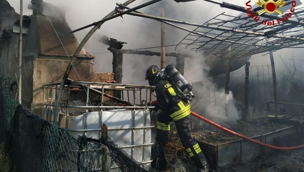 Incendio a Sacile, a fuoco una legnaia - 
