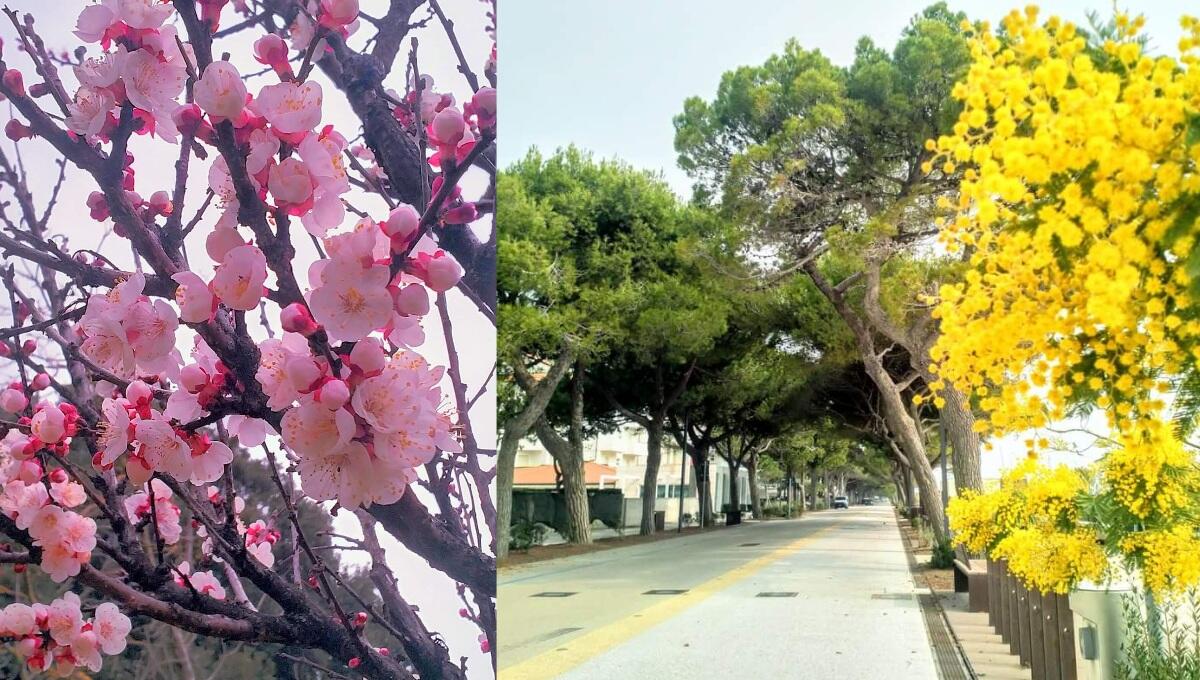 Meteo, anticiclone e caldo a Nord-Est da metà settimana, ancora siccità - 