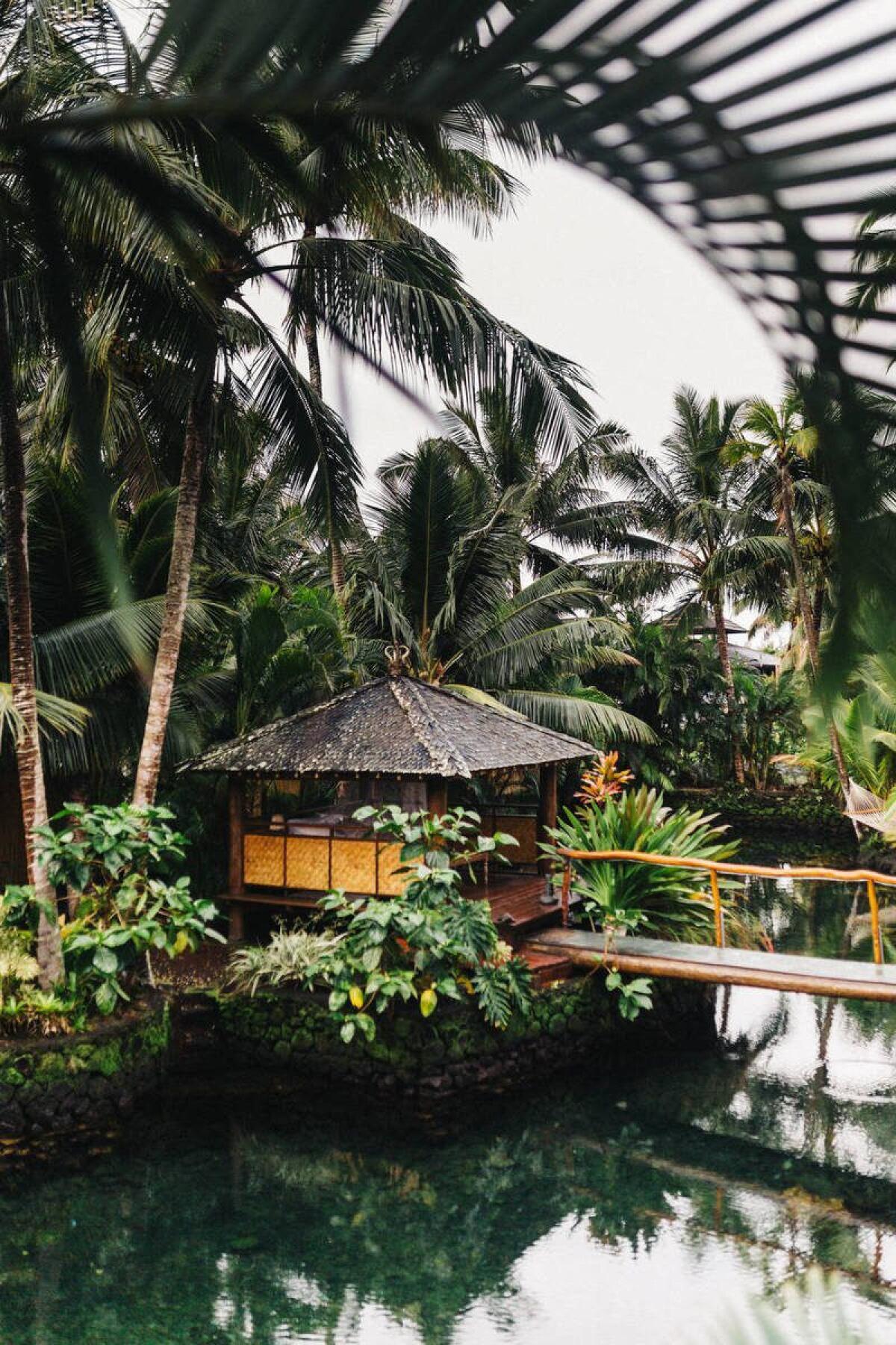 UK Commit to Enhanced India Ties in Indo-Pacific Talks - 