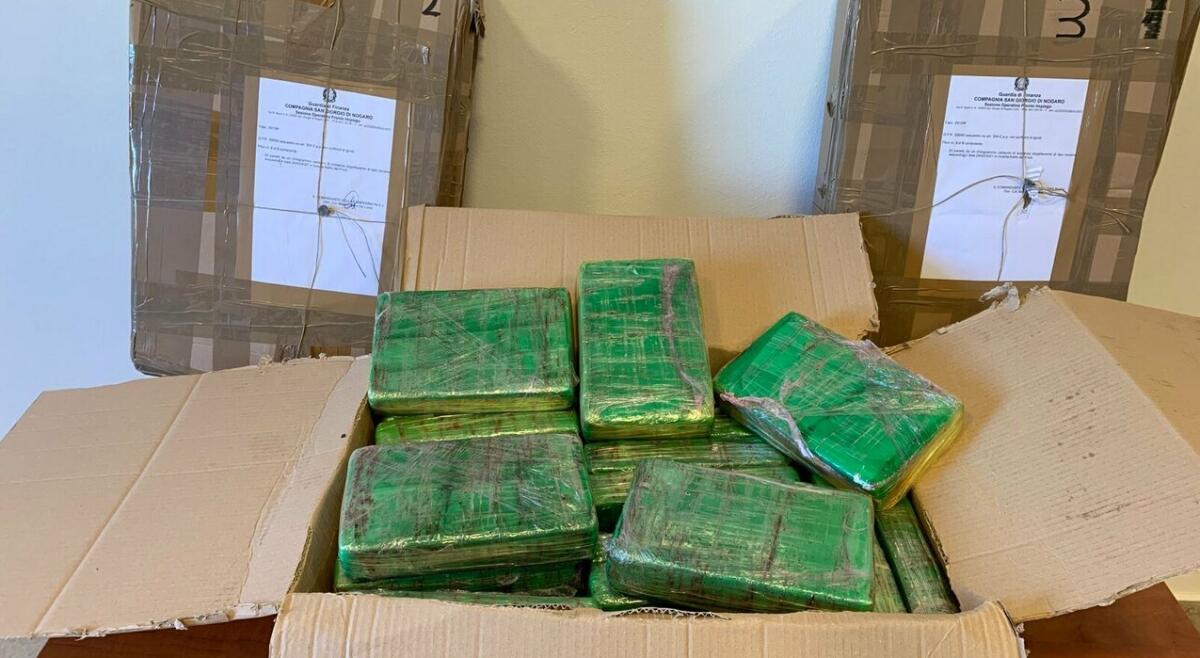 Bagnaria Arsa, 93 kg di cocaina nascosti in un bosco - 