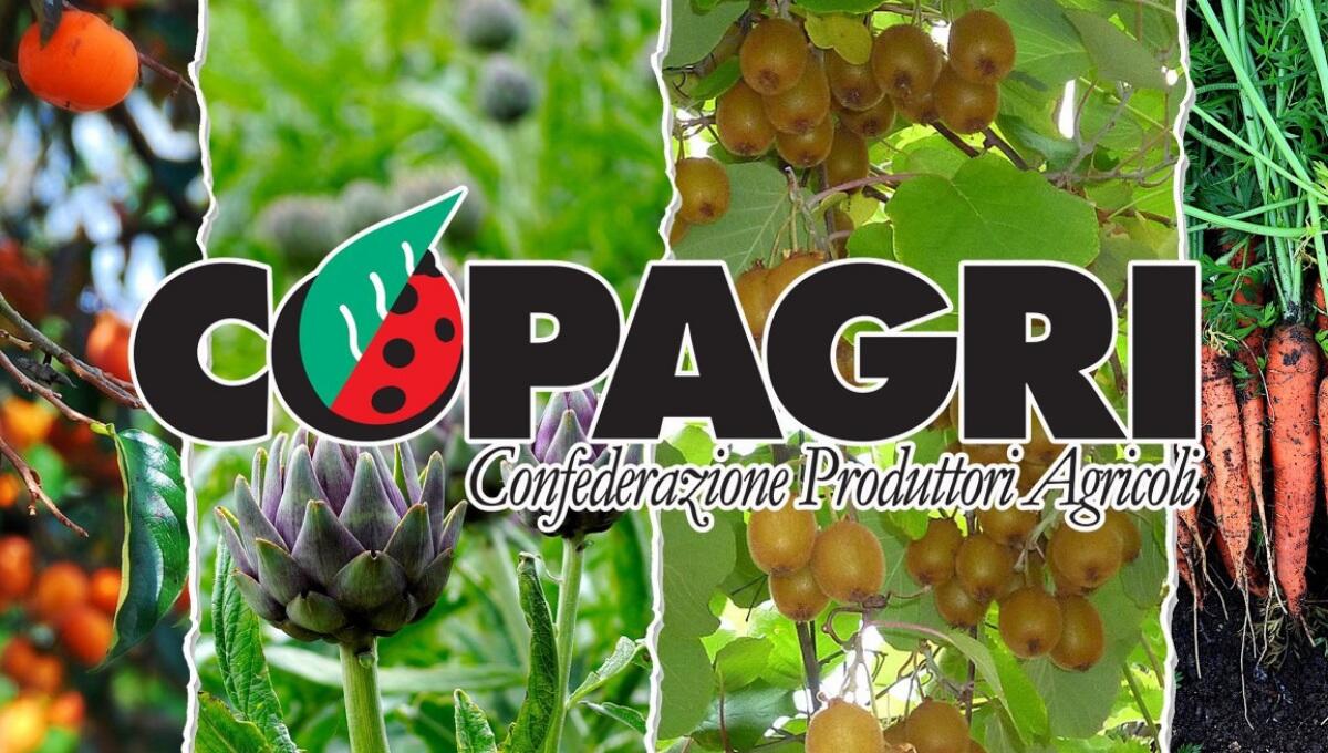 Copagri apre a Pordenone: “metteremo al centro gli interessi di agricoltura e agricoltori” - 