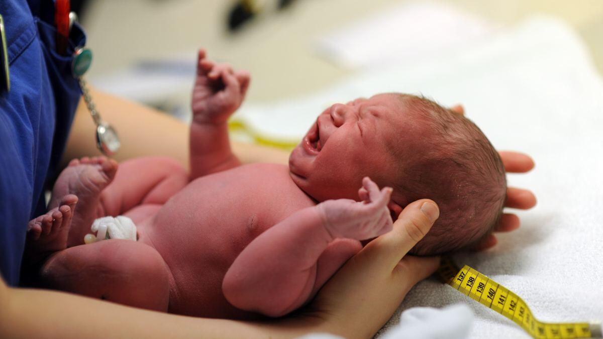 A Pordenone è record: 10 neonati in 24 ore all'ospedale - 